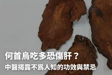 何首烏禁忌|何首烏秋冬進補怎麼吃？醫列功效禁忌＋何首烏藥膳做。